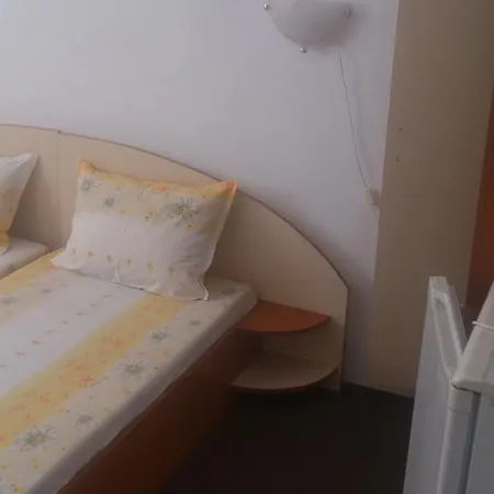 Guest house Svetla 2*